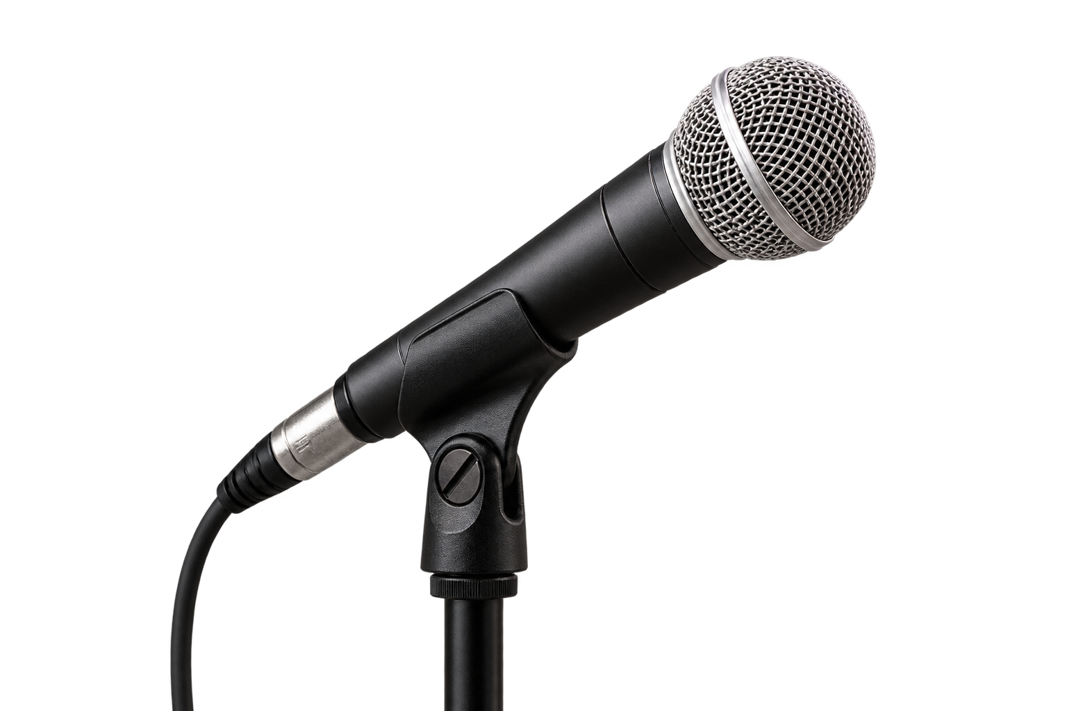 Migoria Event Audio Mic